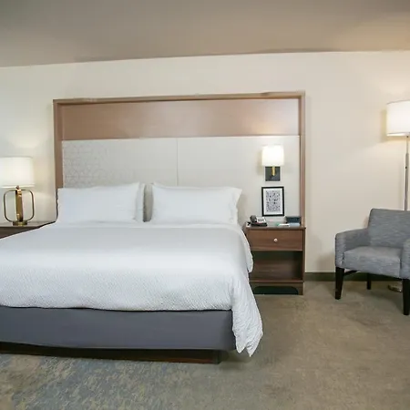 Holiday Inn Metairie New Orleans By Ihg-3